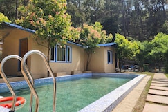 Pine Valley Binsar, Binsar