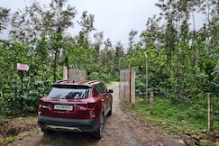 Moogli Individual Room Homestay, Sakleshpur