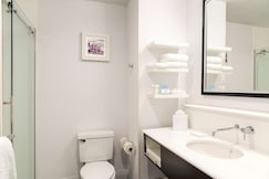 HAMPTON INN MIDLAND MI, Roscommon