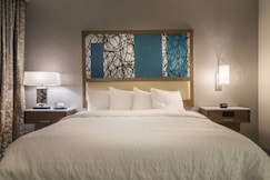 Hampton Inn & Suites The Colony, Denton