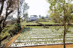 Assort Villa, Mahabaleshwar