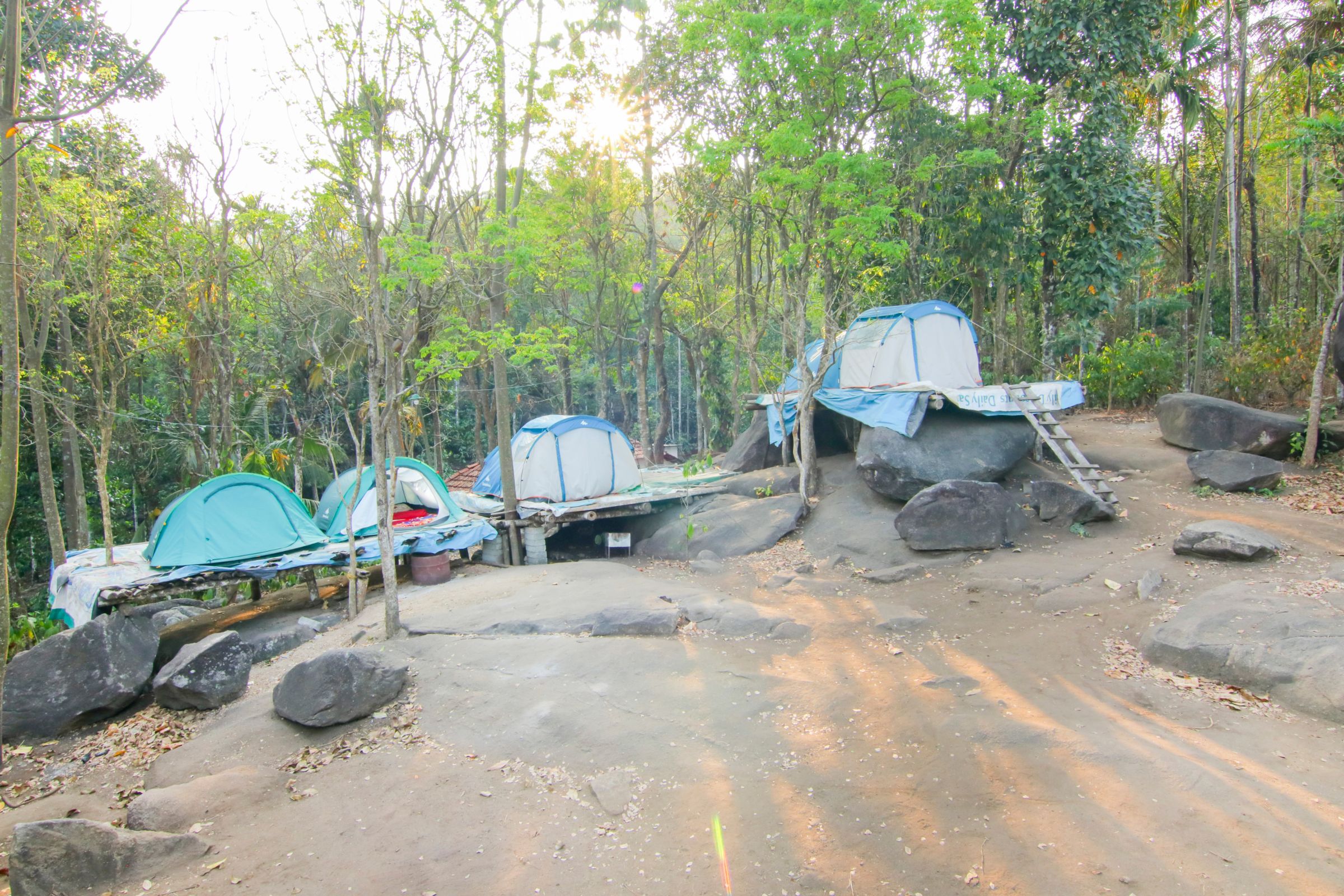 Ever Green Home Stay And Tent Wayanad Camp Price Address Reviews