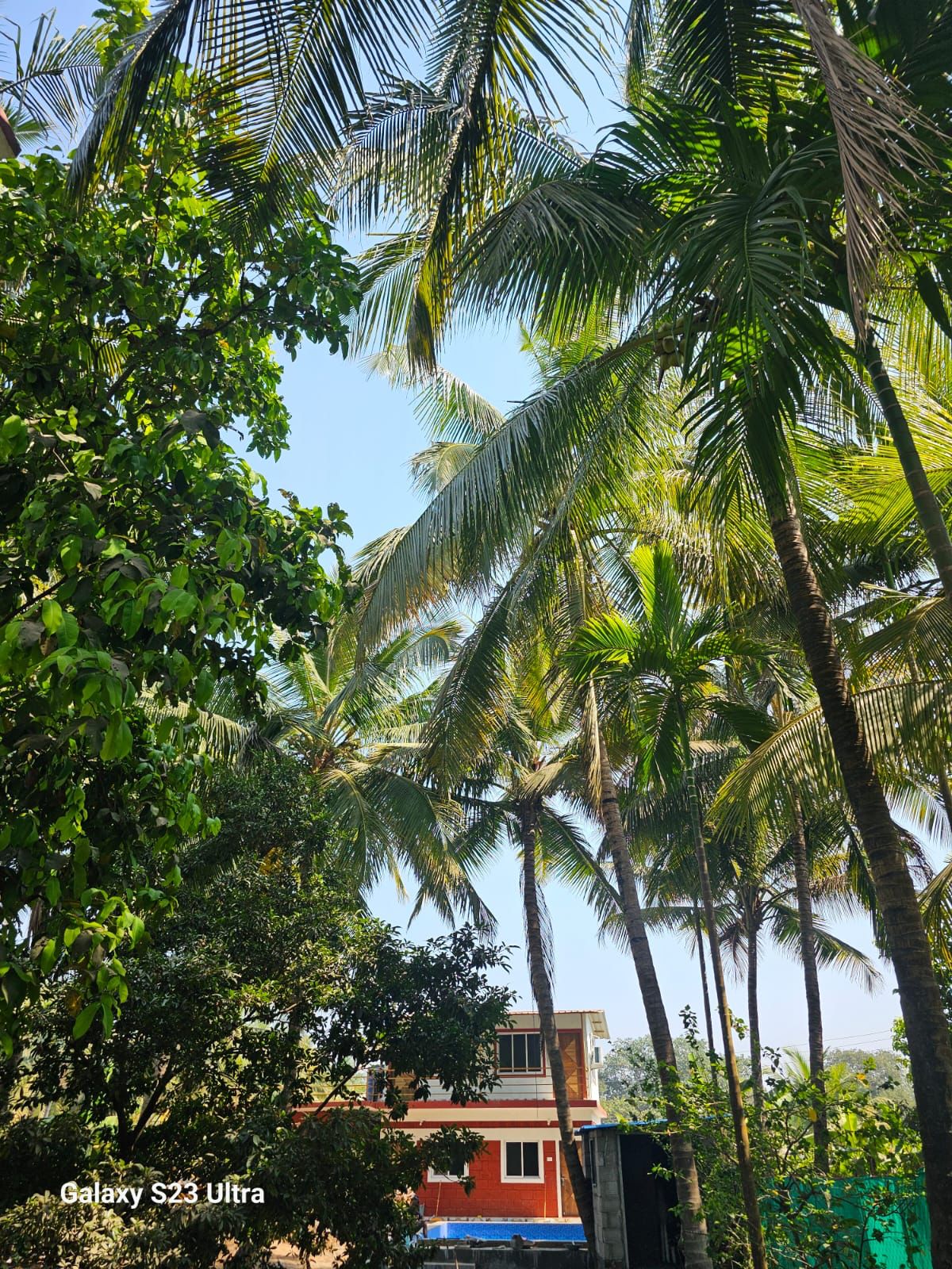 Oasis Homestay