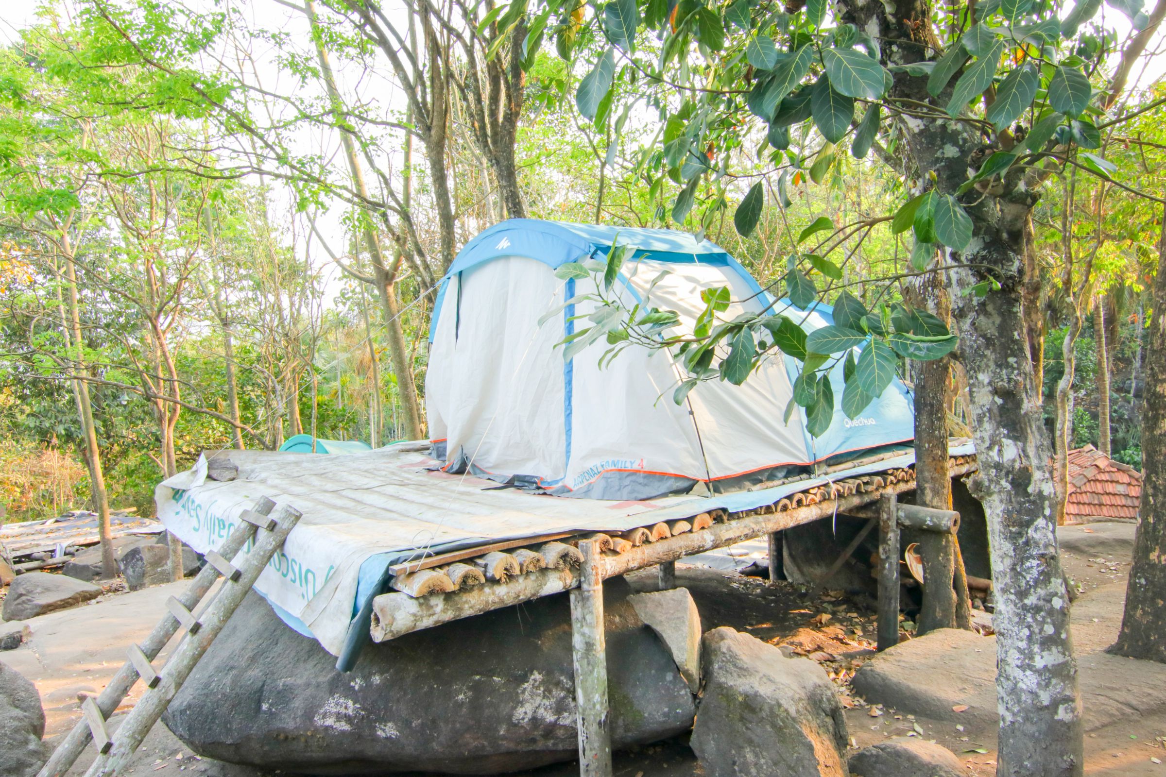 Ever Green Home Stay And Tent Wayanad Camp Price Address Reviews