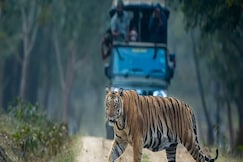 Kabini River Lodge by Jungle Lodges, Ooty