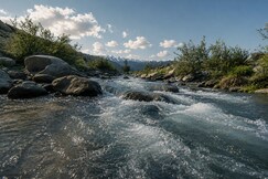 River Edge Homestay, Budgam