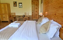 Deluxe Room With Mountain View