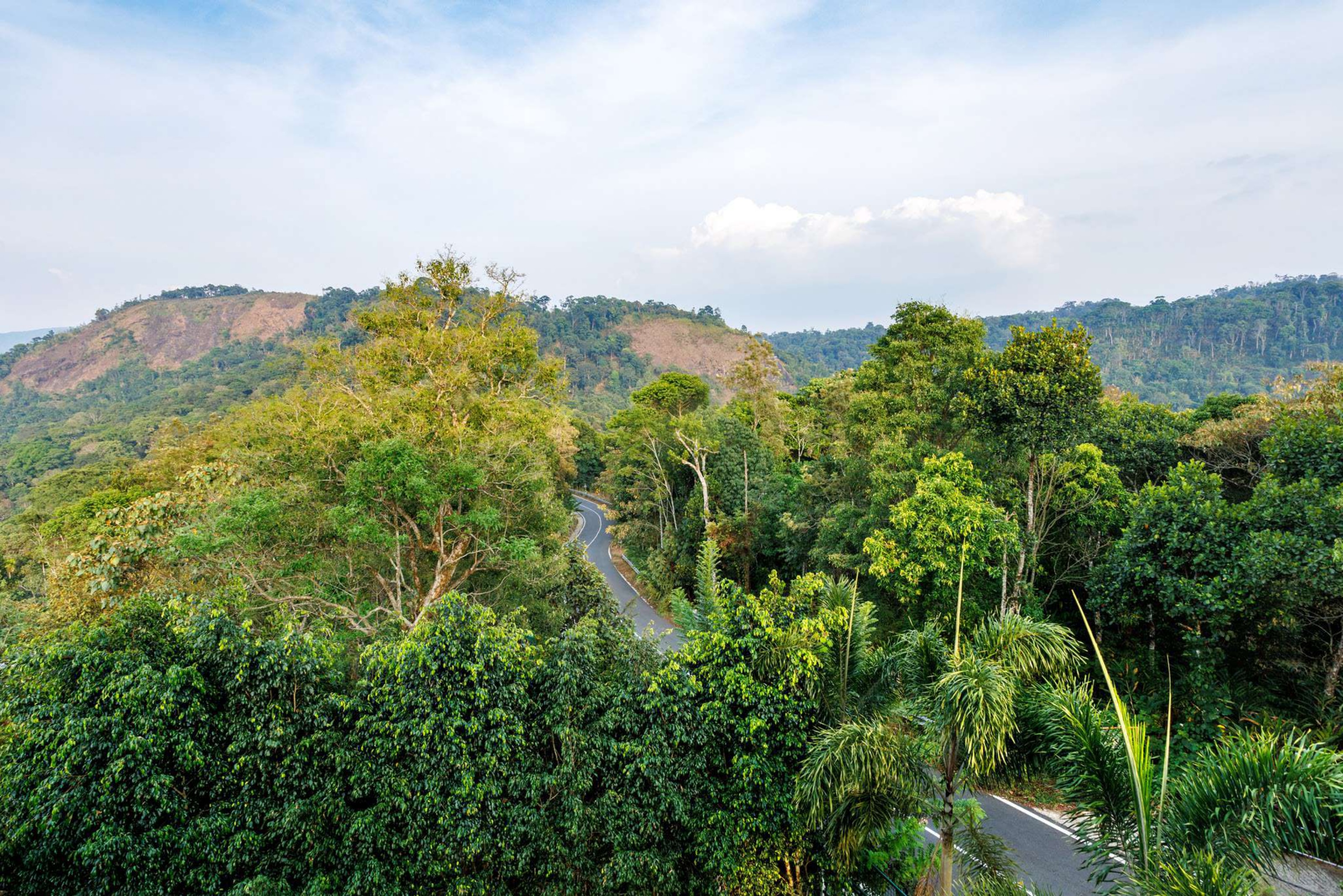 Le Serene Misty Hills Resort - Tap to explore photos