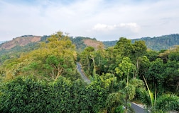 Outdoors