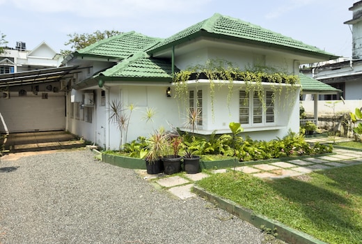 The Chameleon Stories by Alchemy Homes