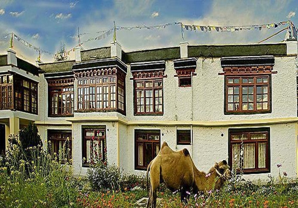 Hotel Yarab TSO Nubra - Tap to explore photos
