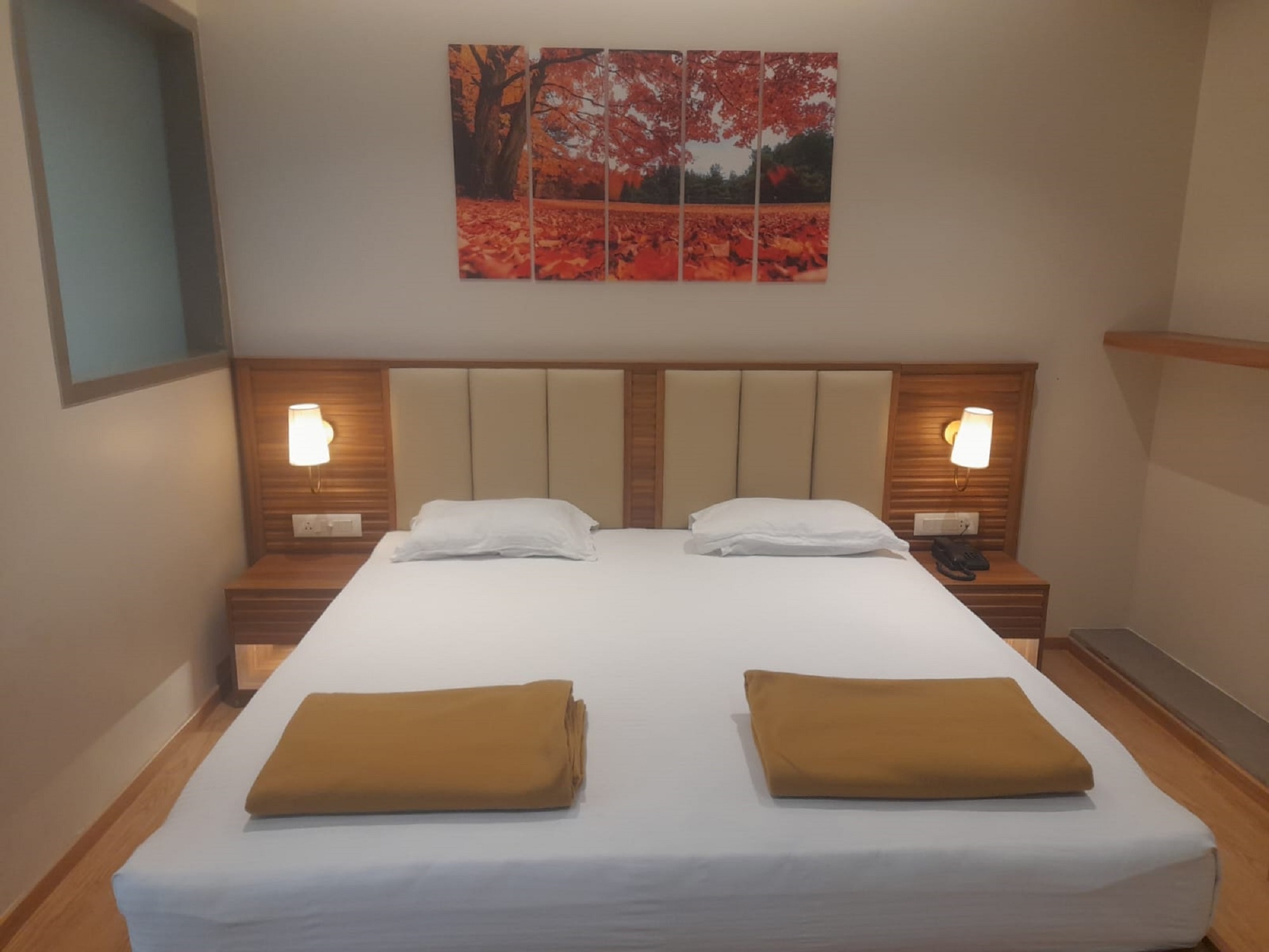 Deluxe AC King Bed 1