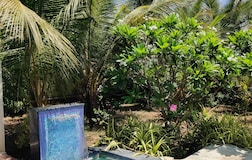 Swimming Pool 1