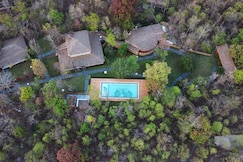 Saj In the forest Pench, Pench