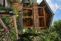 Tiny House, Kullu