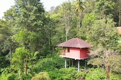 VMJ Wild Stay, Wayanad