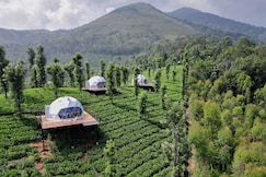 Vythiri Tea Valley | Domes on Tea Plantation, Wayanad