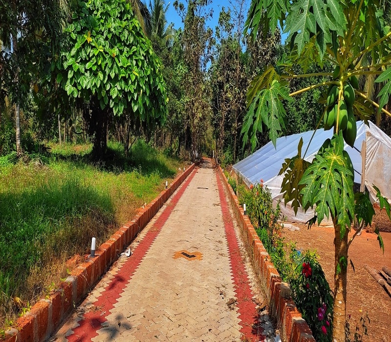 BLUE OASIS FARM - Tap to explore photos