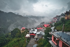 The Sushant Regency Inn (Himalaya Homies), Shimla