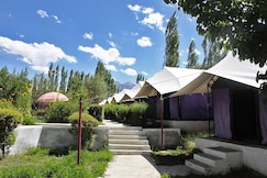 Tiger Camp Nubra | Tents & Wi-Fi, Nubra Valley