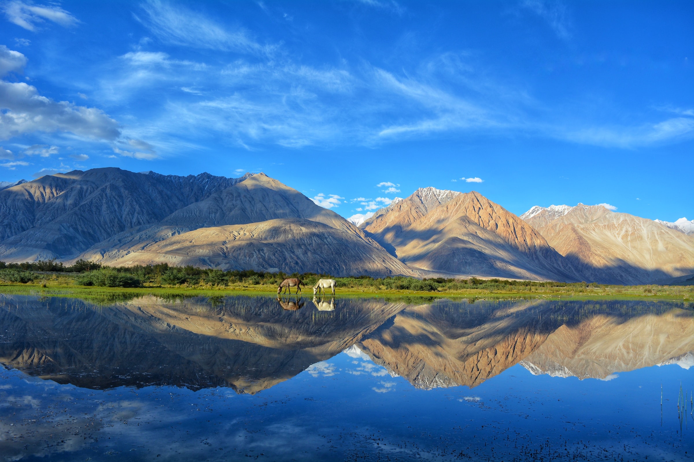 Wanderlust Cottage Pangong - Tap to explore photos