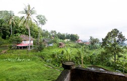 Outdoors