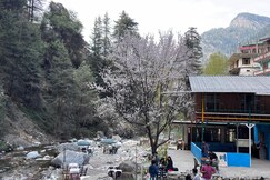 Zenden Stay and Cafe, Jibhi