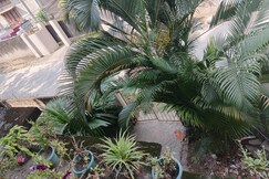Saurabh Homestay Near AMC Road, Dibrugarh