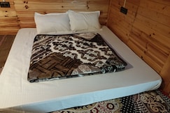 Jibhi stories, Jibhi