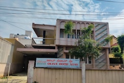 Olive Home Stay, Mysore