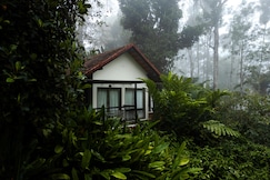 Willow Resorts, Wayanad