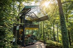 Kasauli Hills Resorts, Kasauli