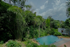 Forest Valley | Rooms & Caretaker, Coorg