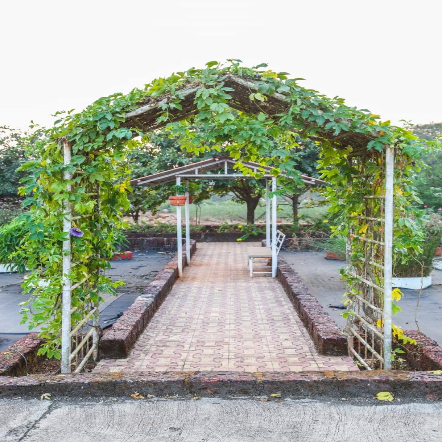 Pitambari Resorts and Agro Tourism, Dapoli - Tap to explore photos