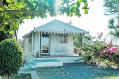 Jawai Skylark, Pachpadra