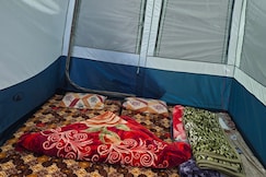 Brown Bear Camping Gurez, Bandipore