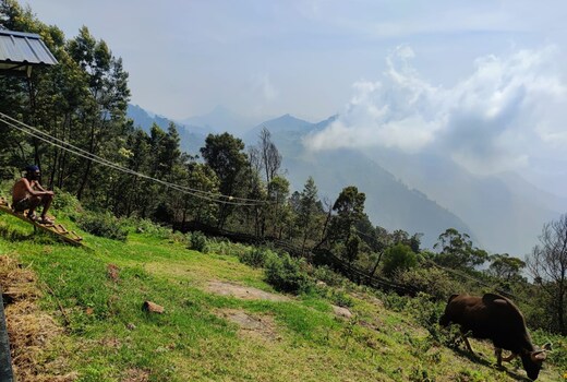 Vattakanal Homestay.