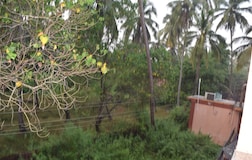 Swimming Pool 1
