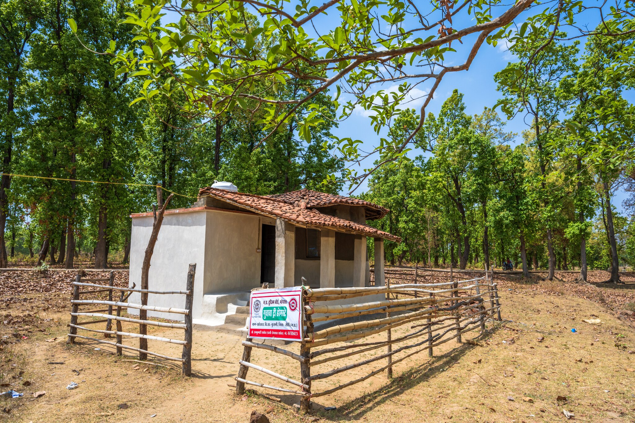 Guava Homestay - Tap to explore photos