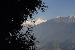 Rare Himalayas De Regency, Mechi