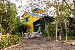 The Little Yellow Butterfly farm retreat, Manesar