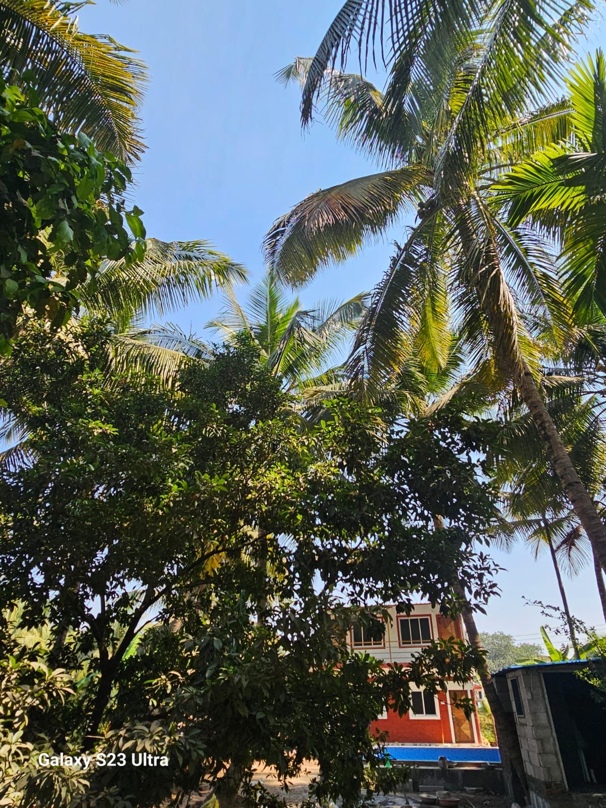 Oasis Homestay 2