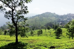 TAVISH hills Villlage view, Ooty