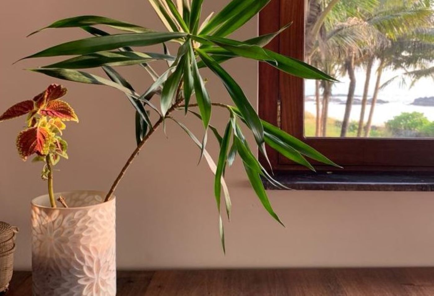 Aru's Beach Home I Kitchen & Caretaker - Tap to explore photos