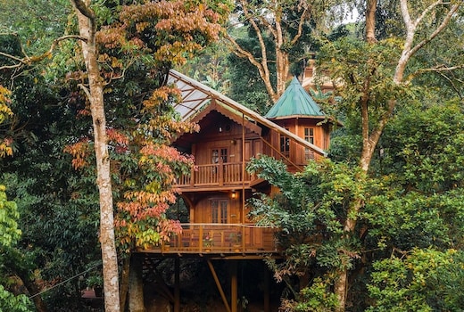 Forestvalley Tree House