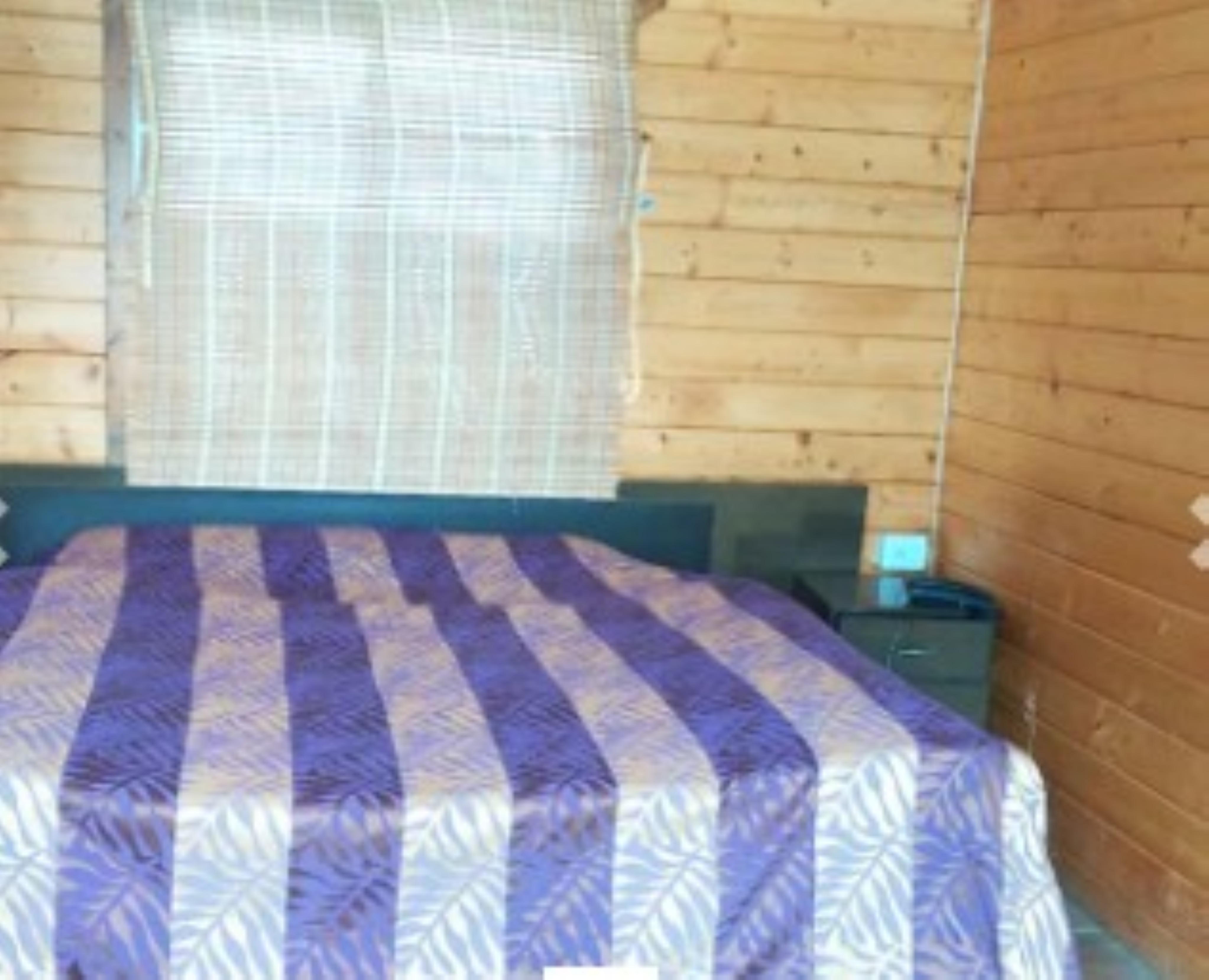 GMVN Auli Nanda Devi Eco Tourist Resort - Tap to explore photos