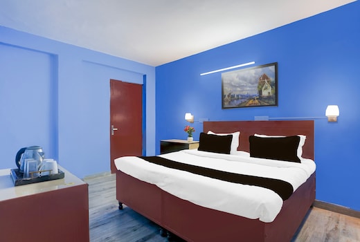 OYO Townhouse Green Park Residency 2