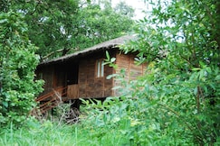 Tiger N Woods Resort, Pench