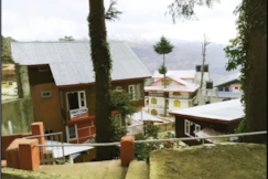 Misty pines, Patnitop