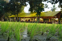 Wander lust hampi, Hampi, Hospet